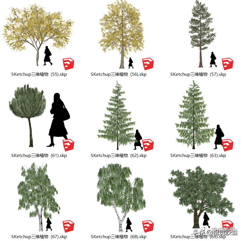 不去用模型树，你根本不知道它有多“香”？