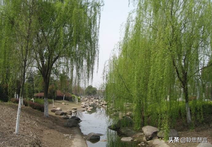 田园春景诗词,田园诗词二十首