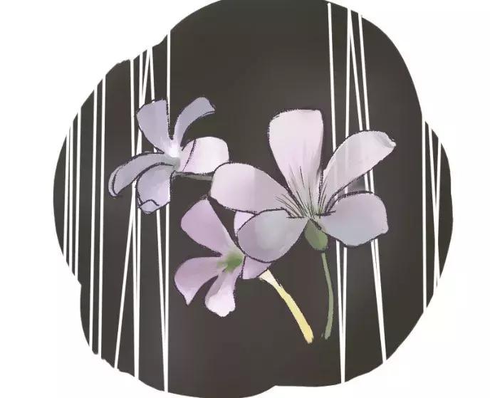 不让食堂大妈手抖的办法 (食堂大妈手抖素材)