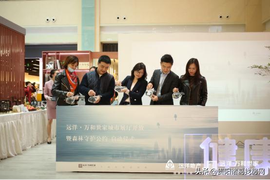 贵阳远洋世家项目,贵阳远洋世家楼盘信息