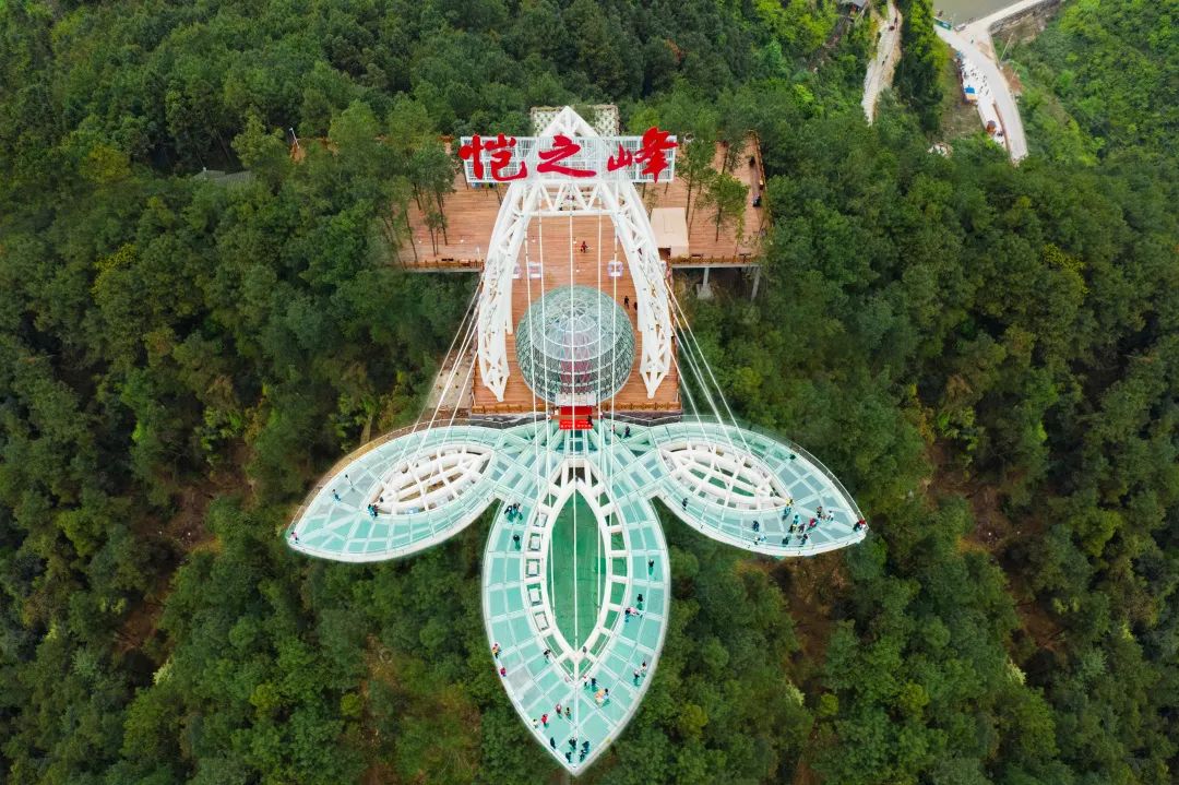 重庆教师节景区免费吗,岁月如歌感念师恩特色教师节活动