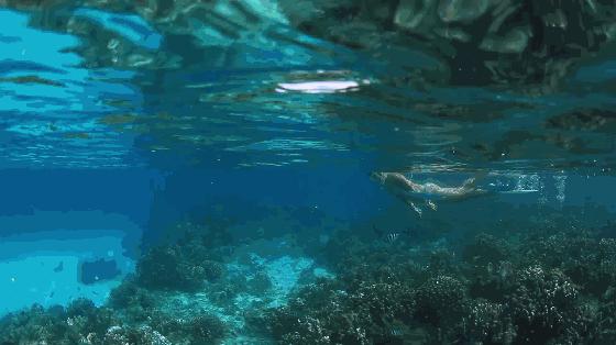 塞班岛旅游攻略四日游路线推荐,塞班岛免签自由行攻略