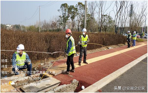 安徽抗疫战果,安徽抗疫事迹