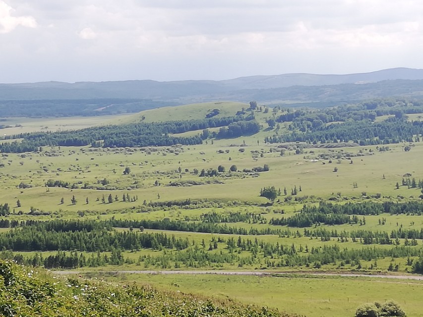 合肥的it行业在哪里招人,合肥it行业怎样