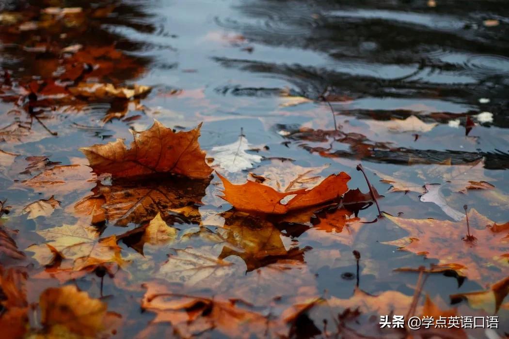 多穿点衣服不要感冒英语,多穿点衣服别感冒韩语怎么说