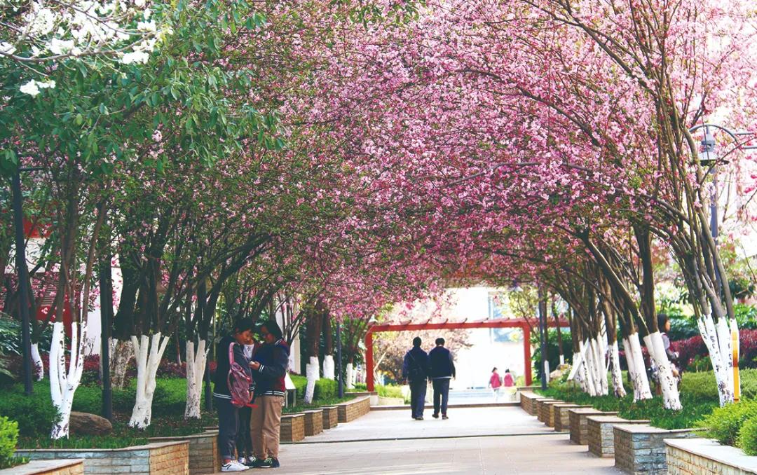 学长说|一所学校到底好不好，初三学姐学长最有发言权