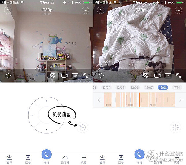 白天不在家猫喂食怎么办,白天不在家猫怎么养