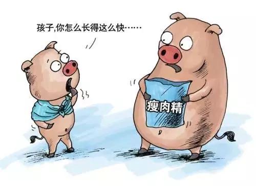 “瘦肉精”屡禁不止,有没有好办法去除瘦肉精