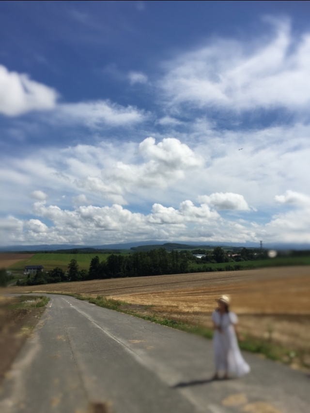 大地上的一棵棵树,大地上的绿树红花