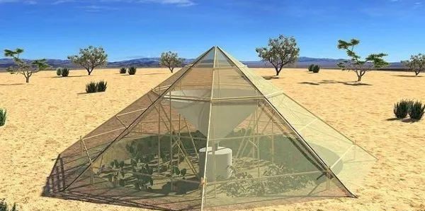 生存小技巧钻木取火,荒野生存取水技巧