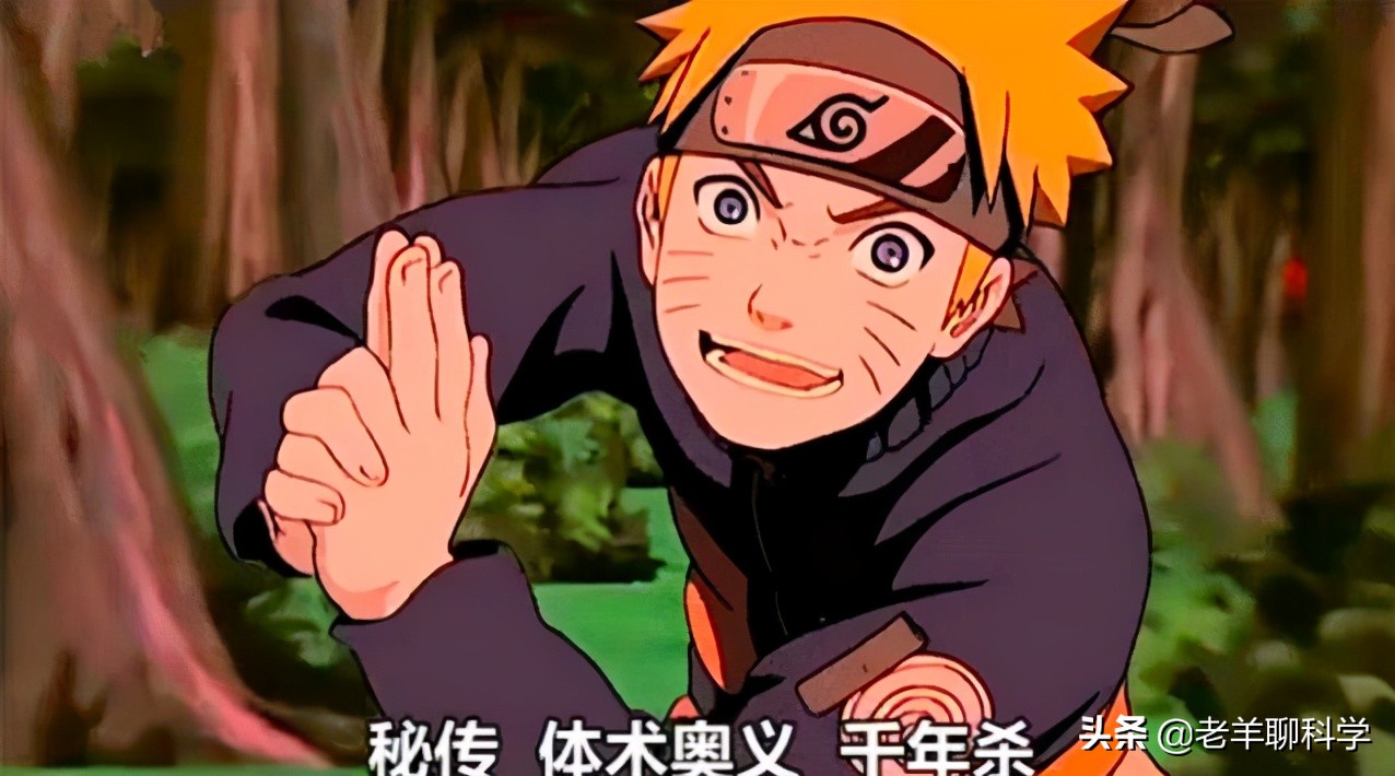 遇到大蟒蛇的自救方法,碰到大蟒蛇怎么自救