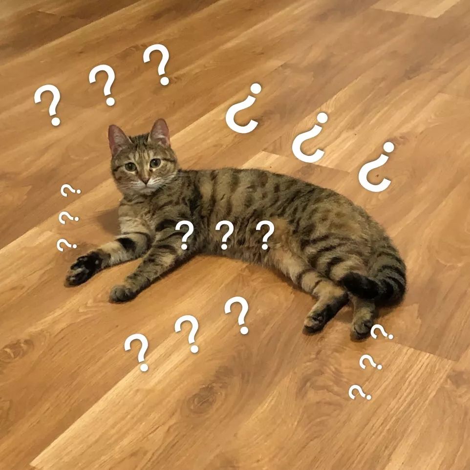 佳作：恐怖的零件数量，龙桃子强袭，四机小队！