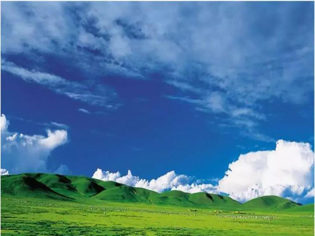 曲阜益海嘉里董事长郭孔丰,益海嘉里郭孔丰参观牧原