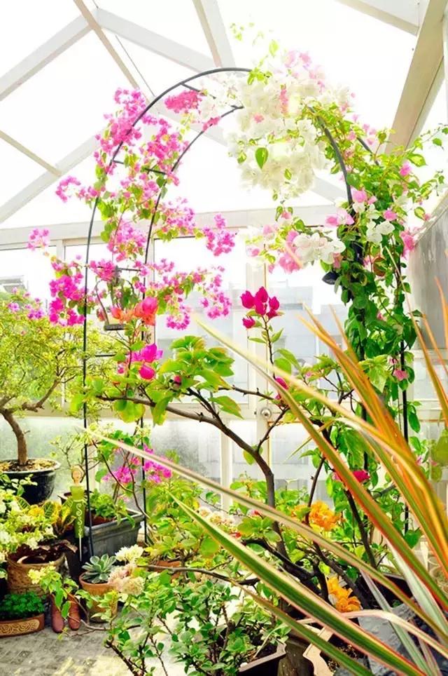 她40岁之前忙成狗，40岁之后在上海买房隐居