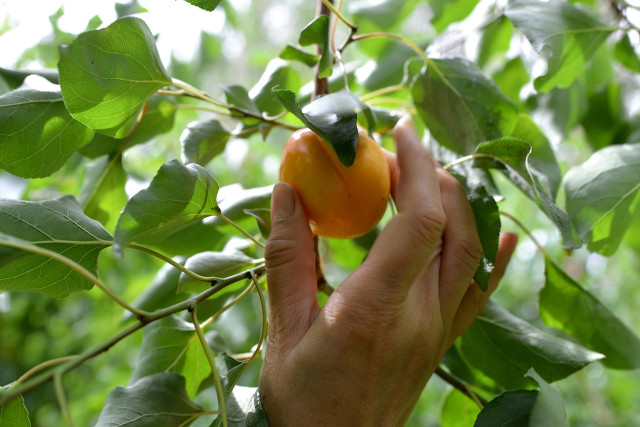 货运司机行业怎么样,新手入行货运行业怎么样