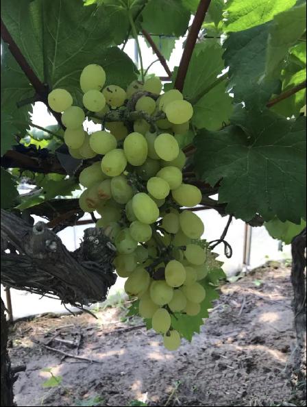 苏州太湖哪里好玩,苏州太湖西山景区