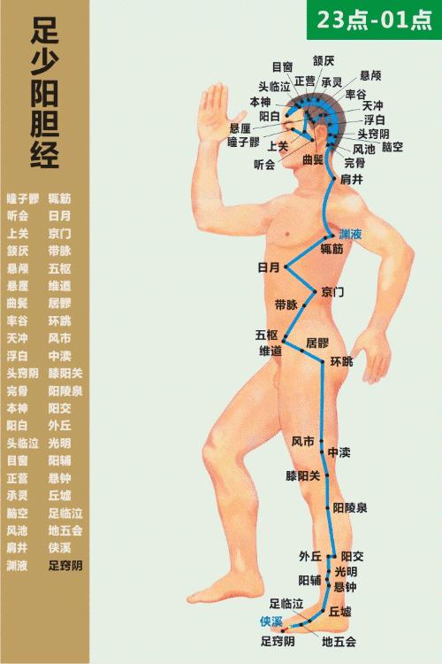 偏头痛头皮痛耳根痛是怎么回事,前额痛头顶痛后脑勺痛是什么原因