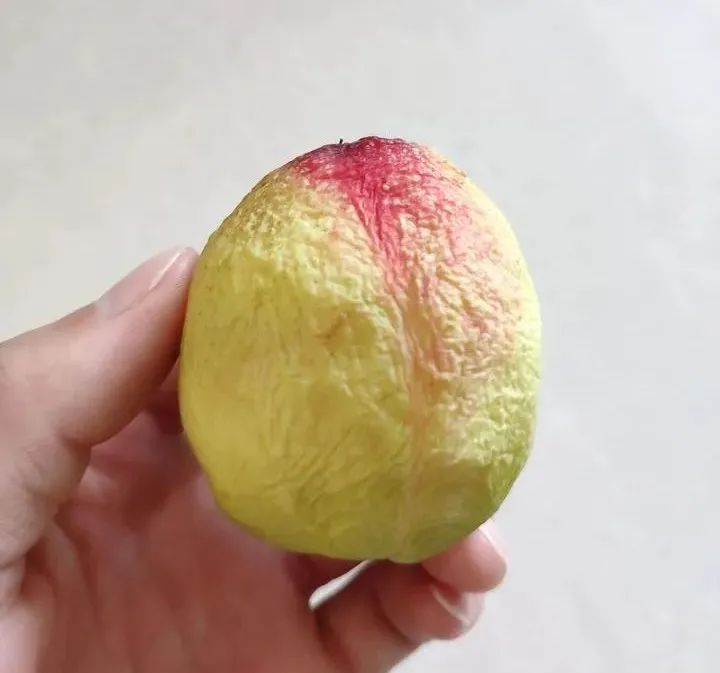 没去过新疆好吗,没去过新疆要注意啥