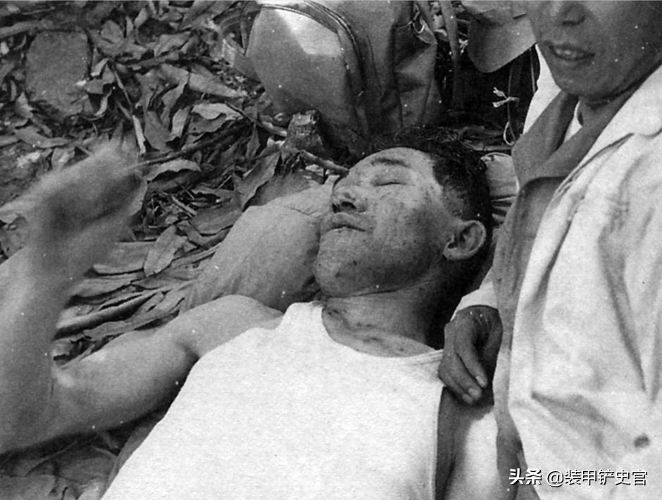 小野田野外生存30年，如何应对蚊蚁虫蛇等热带毒物