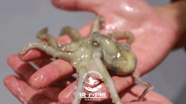 温州瓯菜十大系列菜,隐藏在南京巷子深处的美食