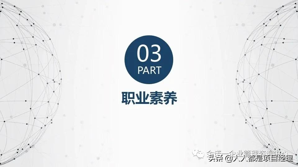 项目经理运营图谱大全,项目经理角色定位