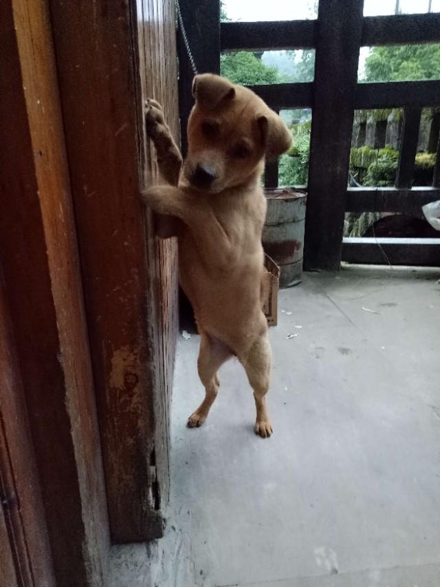 走进安静祥和的乡村,走进宁静的小镇