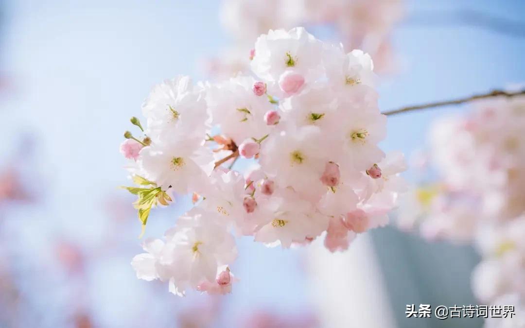 您语文好,请来读读试试,防老年痴呆