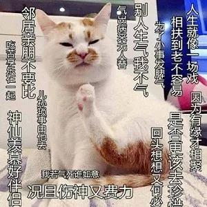 水乳买套装好还是分开买好,水乳分开买推荐