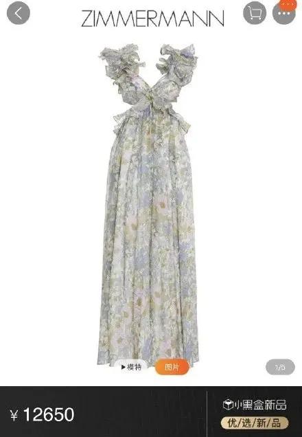 张大奕与网红对比,张大奕山寨品牌排行