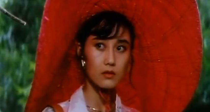 樊少皇和利智的电影全集,樊少皇利智参演