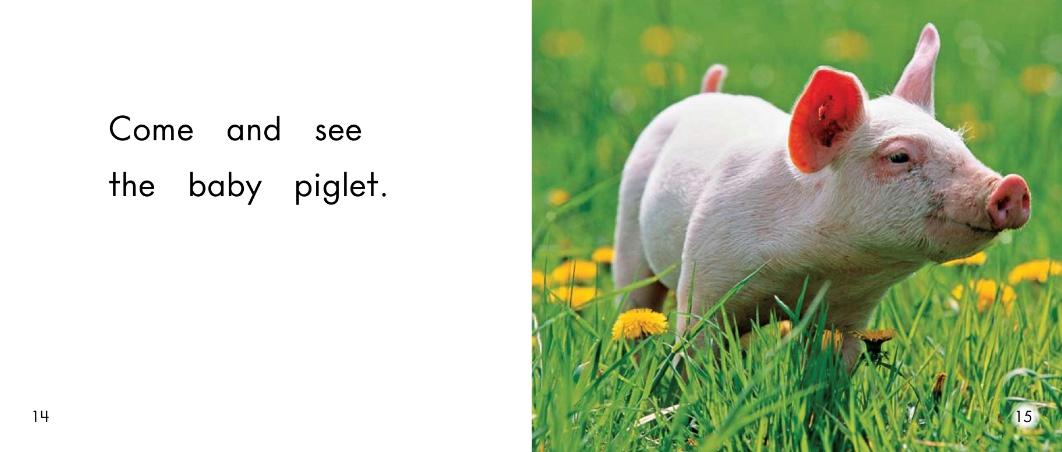 儿童绘本小动物睡前故事,动物宝宝有声绘本推荐0-3岁读绘本