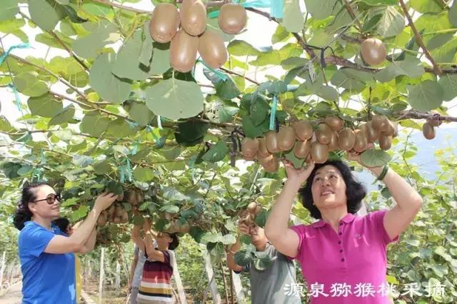 你好!我叫博山,这是我的简历......,转自博山微生活)