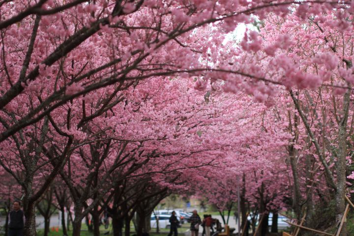去台湾一定要去的地方,普通人去台湾攻略