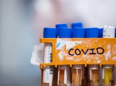 加拿大cerb申请日期,加拿大cerb为什么停发