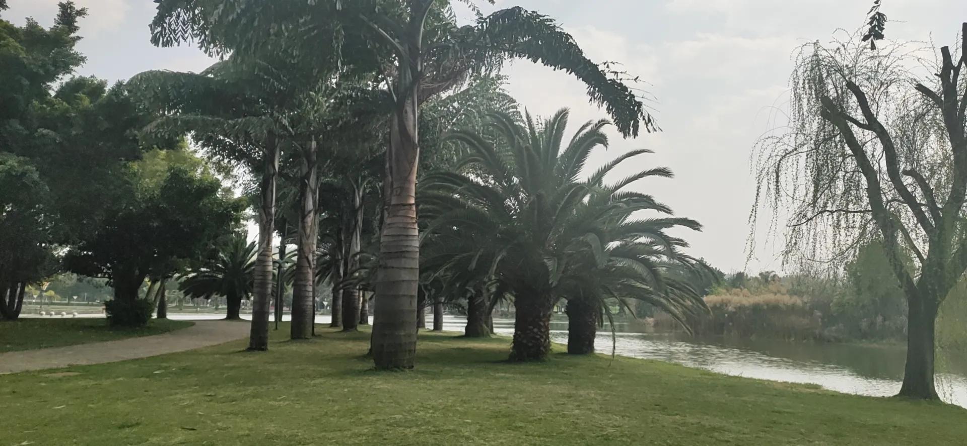 云南弥勒和勐海哪个适合养老,云南弥勒海拔高度适合养老吗