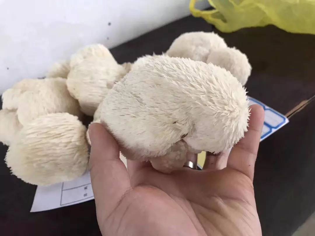 贵阳避暑一个月,带你领略中国避暑之都爽爽贵阳