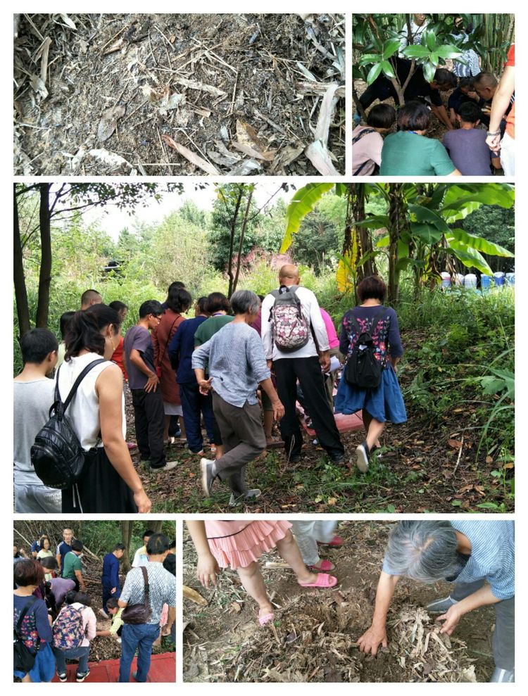 种地用的自制酵素,酵素种地效果怎么样