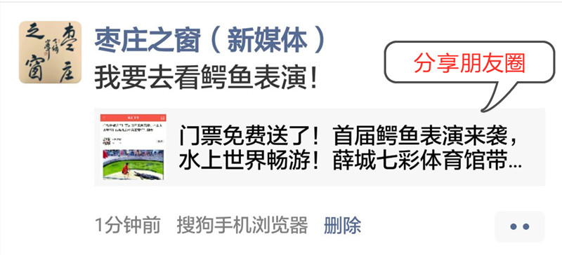 瀚阳水上世界鳄鱼表演,鳄鱼谷鳄鱼表演