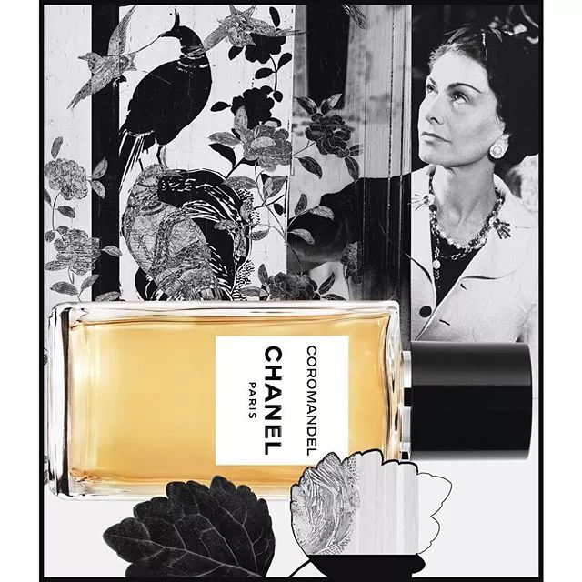 chanel未来价值,chanel2018中国销售额