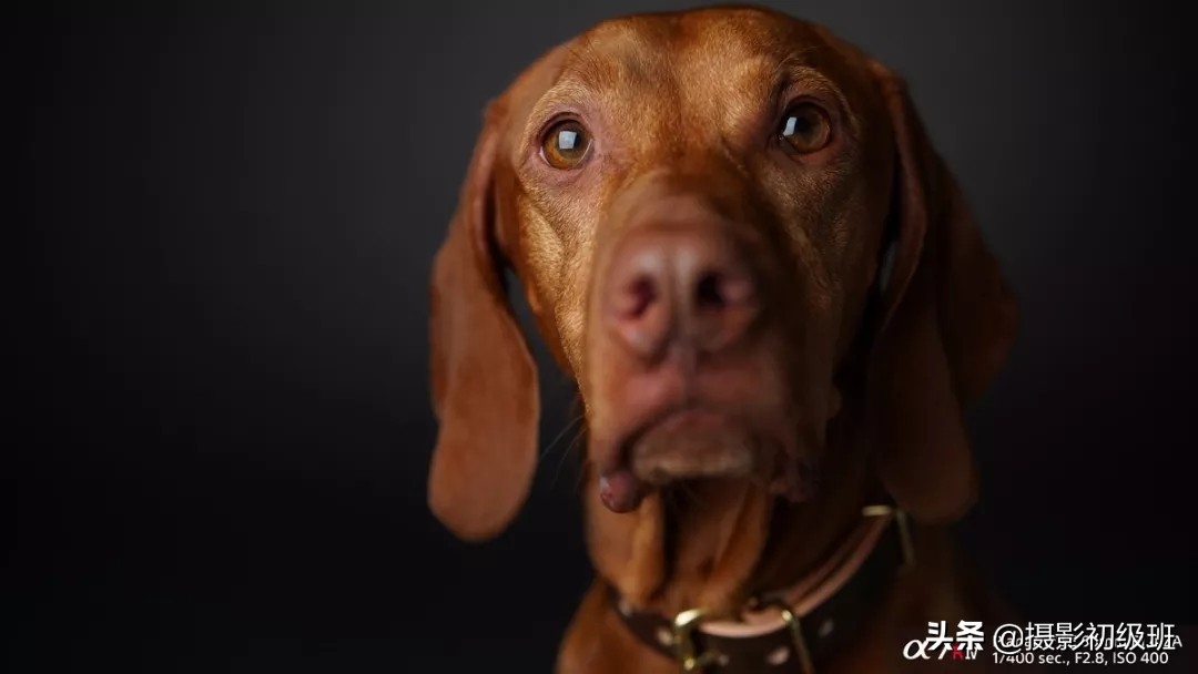 索尼a7r4配合hvl-f32m闪光灯测评 (索尼a7r4与佳能eosr6参数)