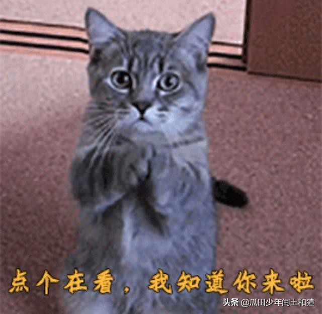 那些年QQ羞耻play,你中了几条?