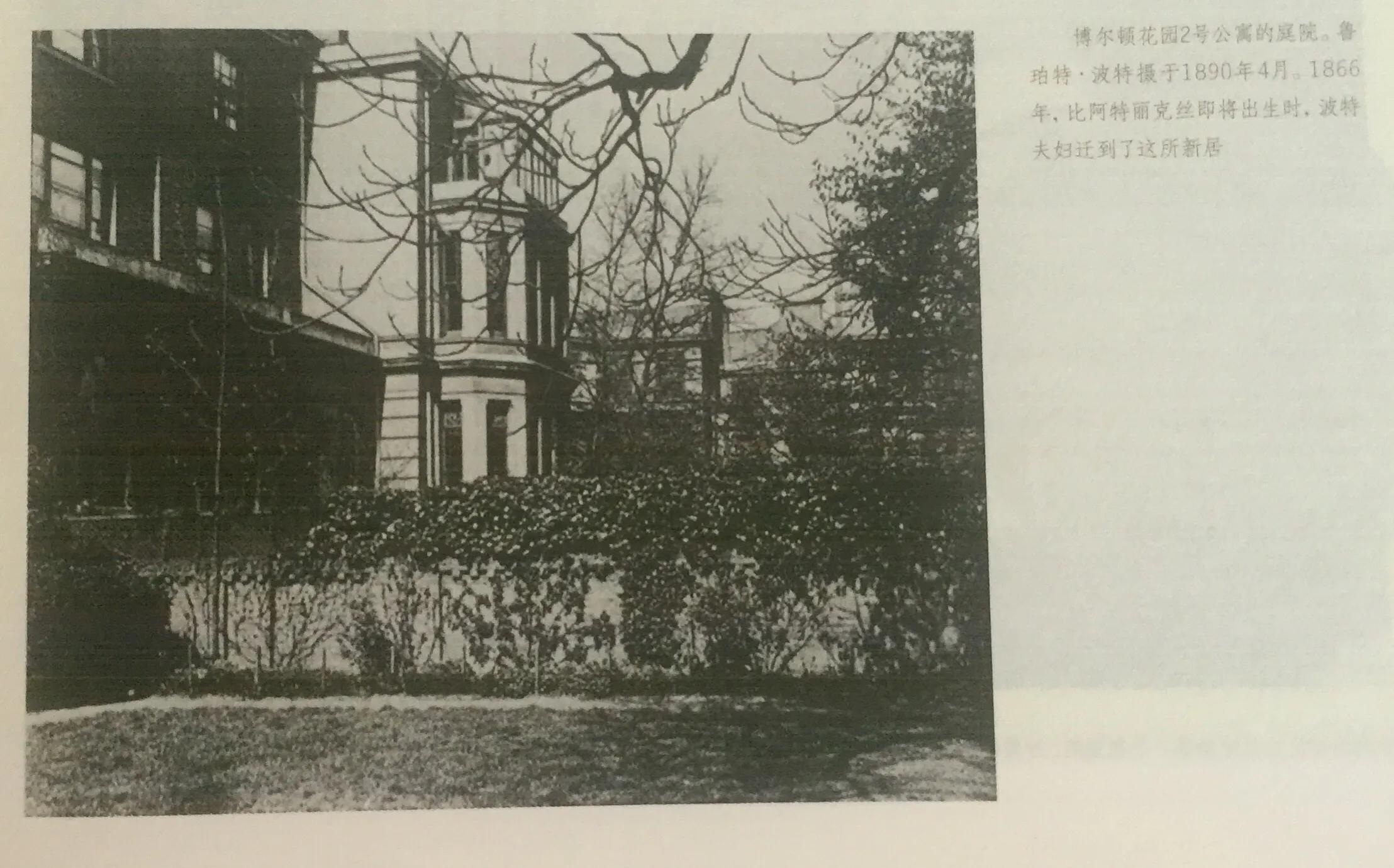 《永远的波特——彼得兔的妈妈》:揭晓彼得兔经久不衰的魅力所在