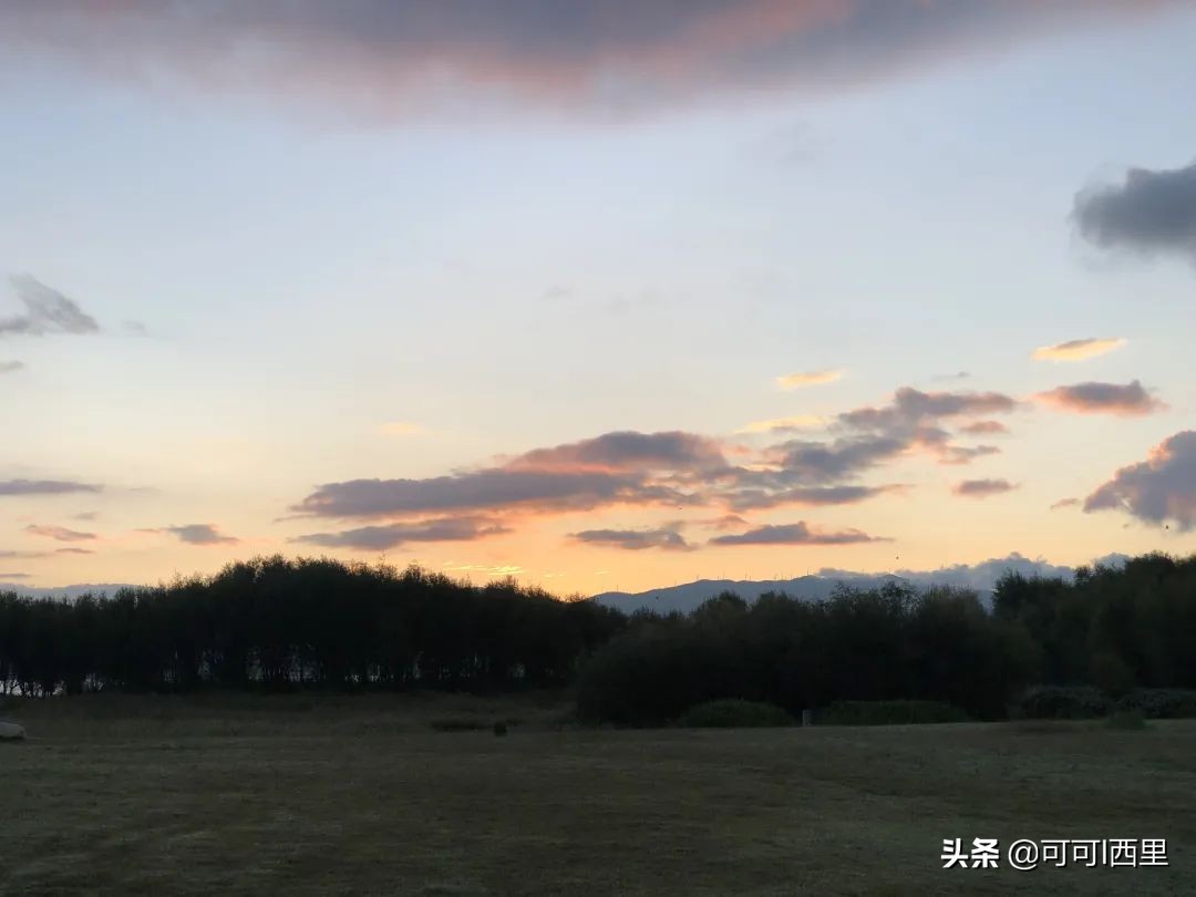 知足不常乐议论文600字,知足不知足诗词