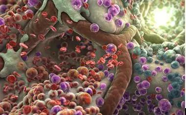 汗蒸房家用全身排毒祛湿,快速在汗蒸房出汗