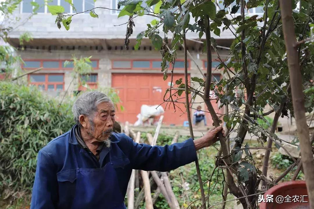 「善行day6」85岁老人仍在劳作寒冷冬日需要温暖