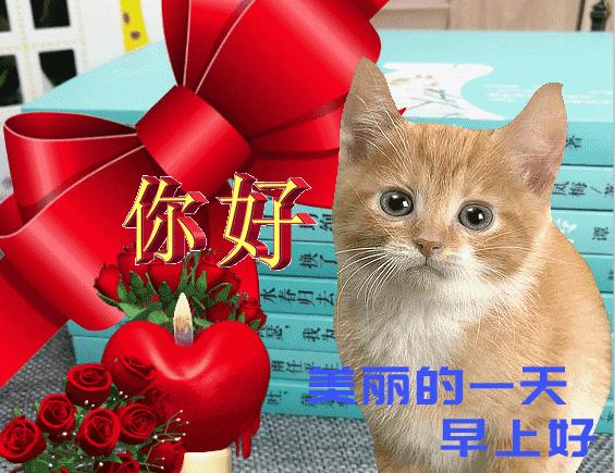 早上好问候祝福语暖心句子图片,特别暖心的早上好祝福语图片图文