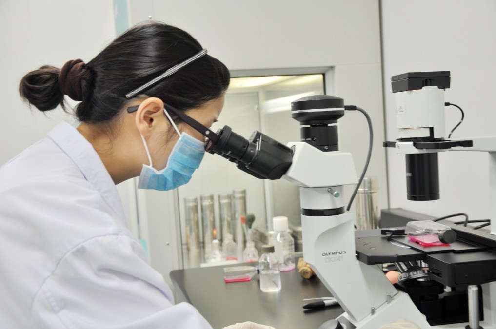 免疫细胞抗癌作用和功效,免疫疗法抗癌成功率