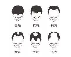 程序员最好的干货,程序员的二十四个梗你看得懂几个