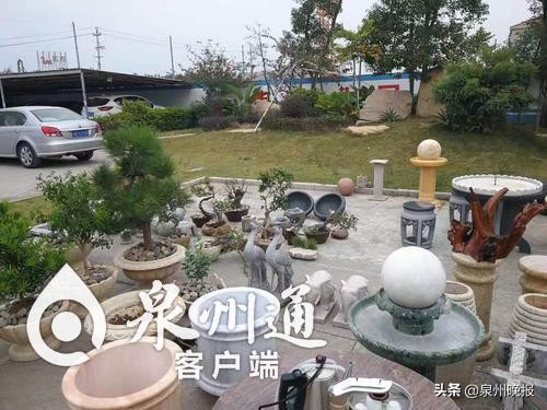 惠安：这个惯偷“有情调”！偷盆景装扮自家庭院