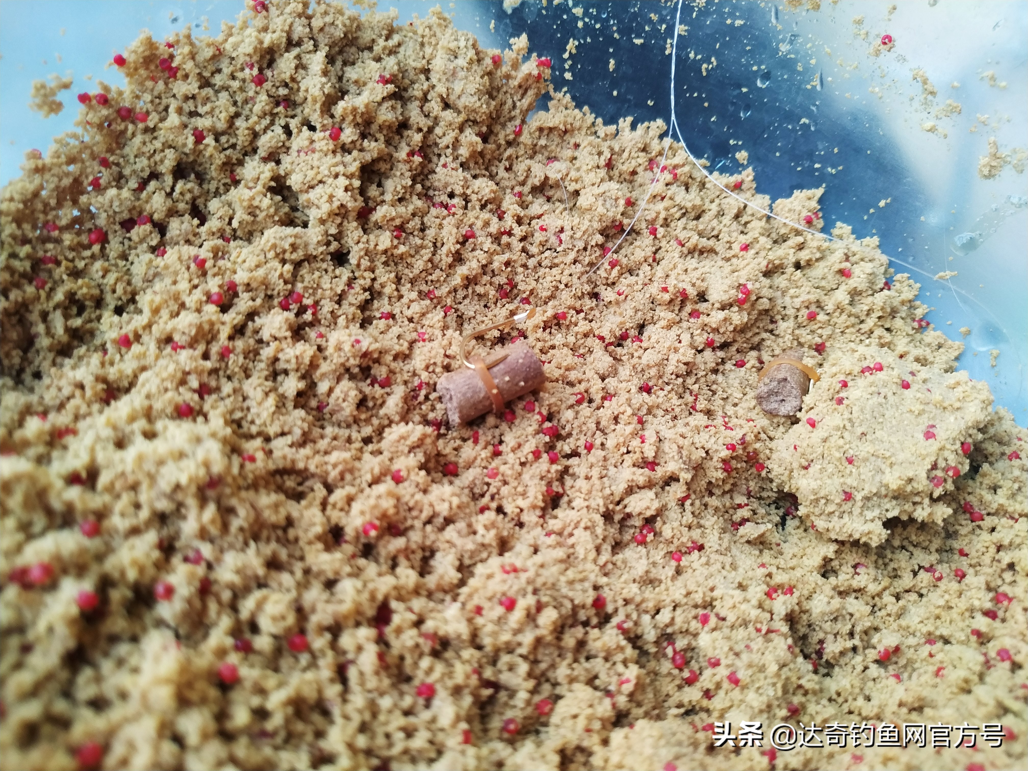 冬钓鲫鱼用红虫就够了？也许该了解一下“包食”诱钓，更有效